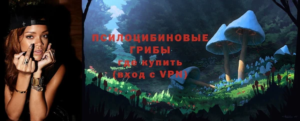 apvp Бородино