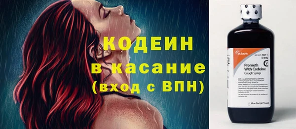 apvp Бородино