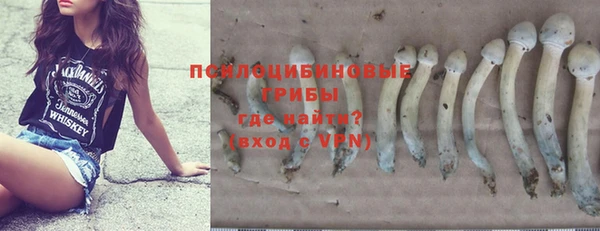 apvp Бородино