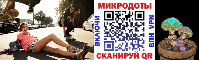 Псилоцибиновые грибы мицелий  где купить наркоту  mega ССЫЛКА  Новокузнецк 